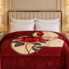 Arctic Cloud Fleece Blanket King Size - Maroon Colour