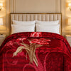 Arctic Cloud Fleece Blanket King Size - Red Colour