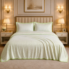 Caelrix Frost Velour Solo Fleece Blanket King Size In Poly Bag - Light Green Colour
