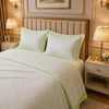 Caelrix Frost Velour Solo Fleece Blanket King Size In Poly Bag - Light Green Colour