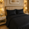 Caelrix Frost Velour Solo Fleece Blanket King Size In Poly Bag - Black Colour