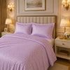 Caelrix Frost Velour Solo Fleece Blanket King Size In Poly Bag - Purple Colour