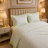 Caelrix Frost Velour Solo Fleece Blanket King Size In Poly Bag - Light Green Colour