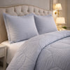 Comforter 4 Pcs Pure Aura Set Poly Bag - Gray Colour