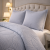 Comforter 4 Pcs Pure Aura Set Poly Bag - Gray Colour