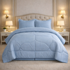 Comforter 4 Pcs Pure Aura Set Poly Bag - Sky Blue Colour
