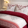 Comforter 4 Pcs Velor Front Fitted Set Poly Bag - Crimson Berry Colour