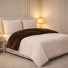 Comforter 4 Pcs Set Lumi Carve Prestige Top Fitted Bedsheet Poly Bag - Oatmeal & Brown Colour