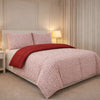 Comforter 4 Pcs Set Lumi Carve Prestige Top Fitted Bedsheet Poly Bag - Pink & Red Colour
