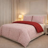 Comforter 4 Pcs Set Lumi Carve Prestige Top Fitted Bedsheet Poly Bag - Pink & Red Colour