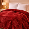 Drift Atlanta Double Bed Cloudy 2 Ply Blanket In Poly - Red Colour