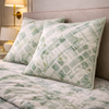 Noctura Living 3 Pcs Double Bed Sheet Set - Green Colour
