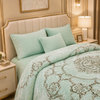 Sonata Cloud Double Bed Cloudy Blanket 2 Ply in Poly Bag - Light Green Colour