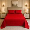 Uniloom Borderline Fleece King Size Blanket 1 Ply - Red Colour